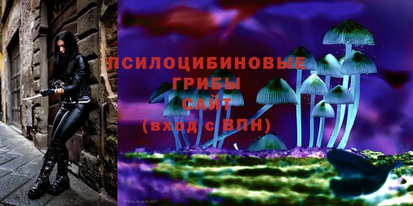кокс Баксан