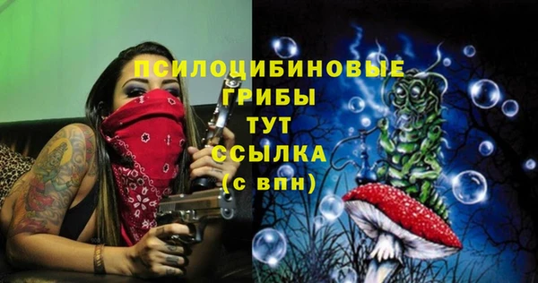 кокс Баксан