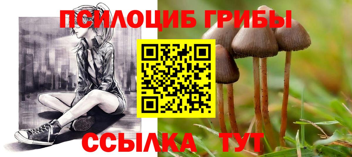 Галлюциногенные грибы мицелий Балабаново